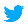 Icone twitter